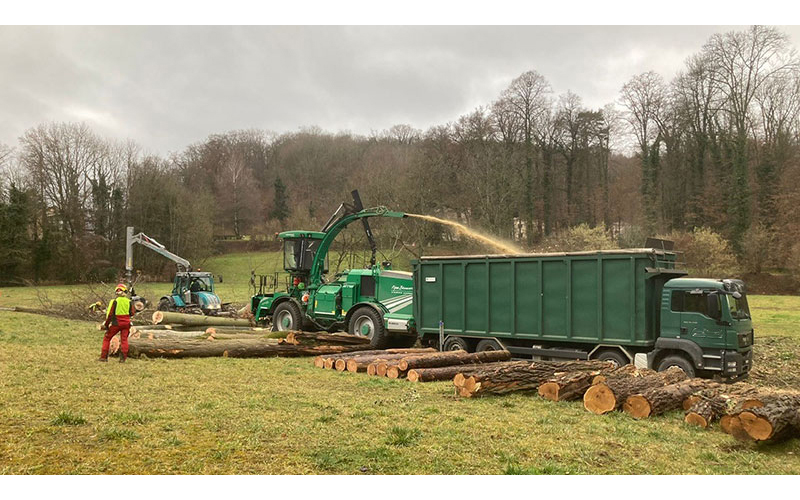 Albach mit LKW Hacken auf Wiese Jannis 